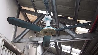 Daily Beater | Kyzuku 31" Mini Ceiling Fan