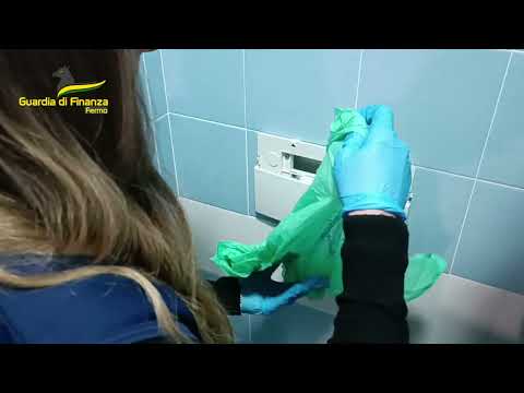 Il cane finanziere  fiuta i soldi e incastra lo spacciatore: 4 arresti e 16 kg di droga sequestrati