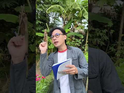 sudahi-liburanmu-mari-ngiplik-bersamaku