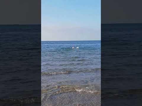 اینجا شمال آلمان هست منطقه Heidkate بسیار آرام بخش وزیبا