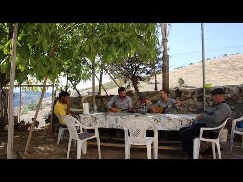 DÜNYA ARSIZINDIR - CENGİZ DEMİR & BARIŞ YEŞİL