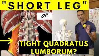 How to fix a SHORT LEG: Heel lift or not?