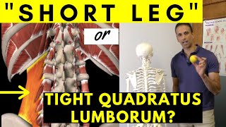 How to fix a SHORT LEG: Heel lift or not