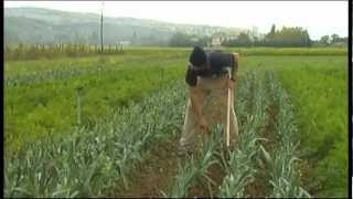 preview picture of video 'L'espace test : un outil pour l'installation agricole'