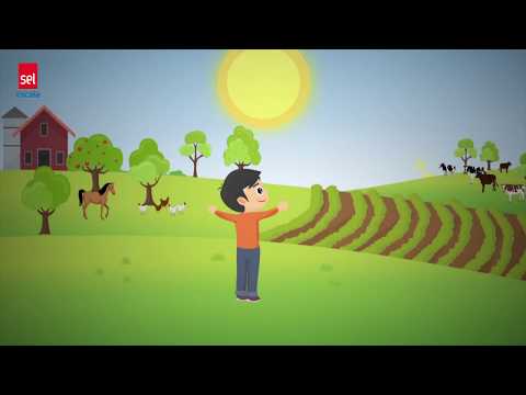 AS DIREÇÕES CARDEAIS E OS INSTRUMENTOS DE LOCALIZAÇÃO