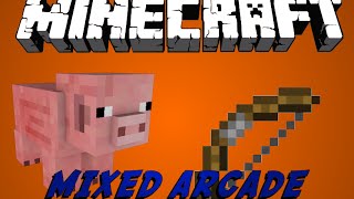 Minecraft: MIXED ARCADE PARTY TIME!
