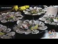 Infected Oysters Kill A Dania Beach Seafood Diner