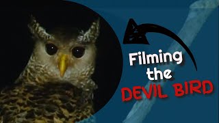 Filming the Devil Bird of Sri Lanka