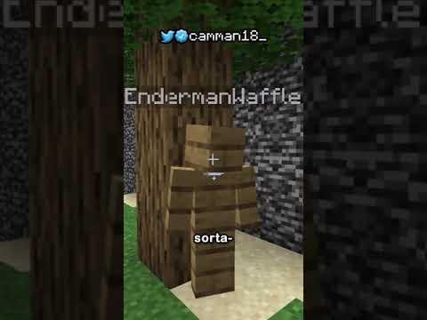 Minecraft Extreme Hide and Seek