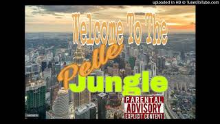Cj pelle - Welcome To The Concrete Jungle (mastered)_