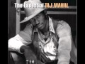 Taj Mahal - Dust My Broom