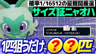 【超検証】色違いニャオハの最大最小サイズは本当に存在するのか？【ポケットモンスター スカーレット・バイオレット/SV】