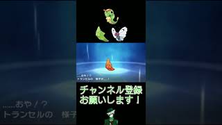【色違い】#4 キャタピー系統編【30th】