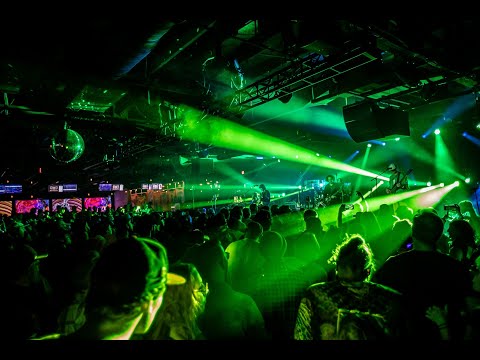 Dogs In A Pile - "Fly Like An Eagle" - 10/21/23