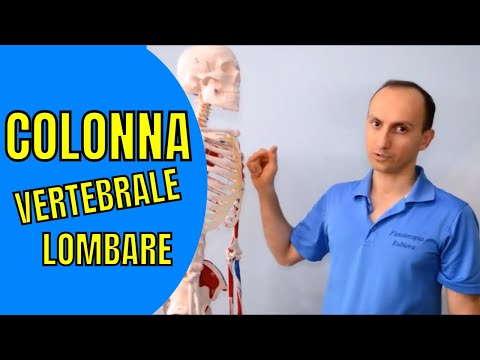 Il motivo per cui al mattino molto dolorante bassa della schiena Lovulazione può abbinare ovaio e lombo