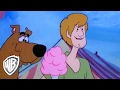 Scooby Doo Scooby Nocchio