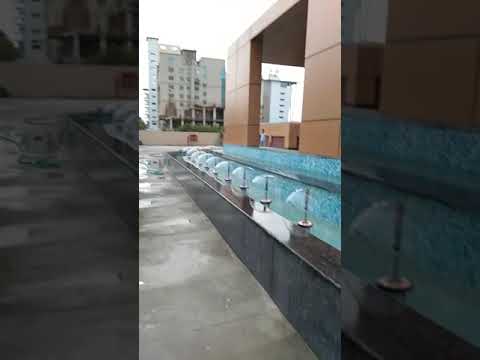 Swimming Pool Cleaners