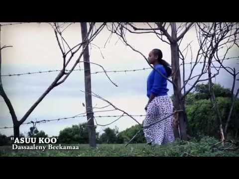 Dassaalany Beekamaa - Asuu Koo