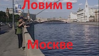 Рыбалка в черте города москва река
