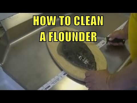 How to clean a flounder!