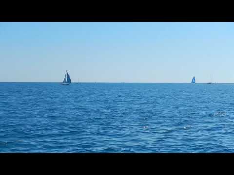 NEEL 45 - a fast boat