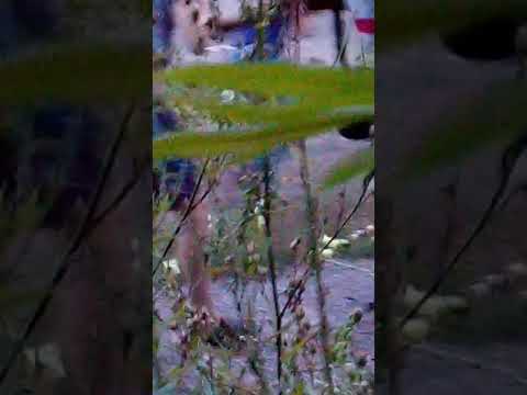 Пришельцы зоны 93 города Мухосранск