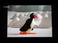 The Pingu Show Penguin Facts With Profssor Pingu 19
