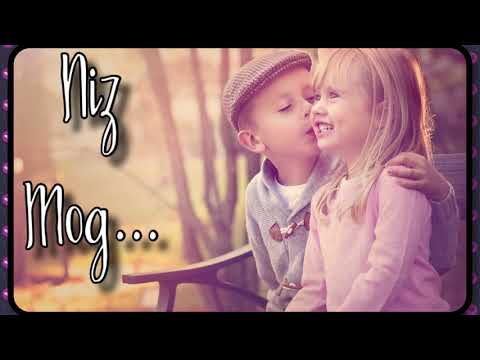 Niz Mog❤️(Official Song)