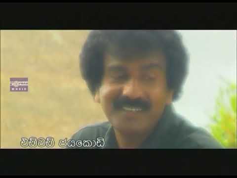 Sulagak Wee Man Yanawa   Edward Jayakody   Nathasha Perera   සුළඟක් වී මං යනවා