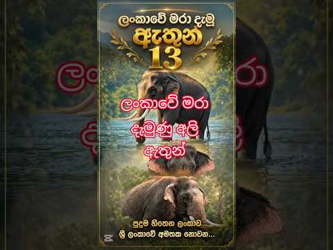 ලංකාවේ මරා දැමුණු ඇතුන් 13