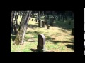 Section F7 Mazewot Of The Jewish Cemetery In Mannheim City