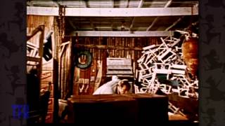 Dr. No (1962) Video