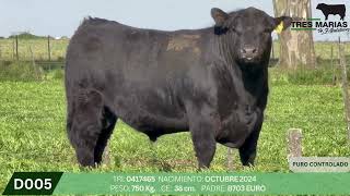 3 Toro PC - Gregorio Aberasturi - Plaza Ganadera