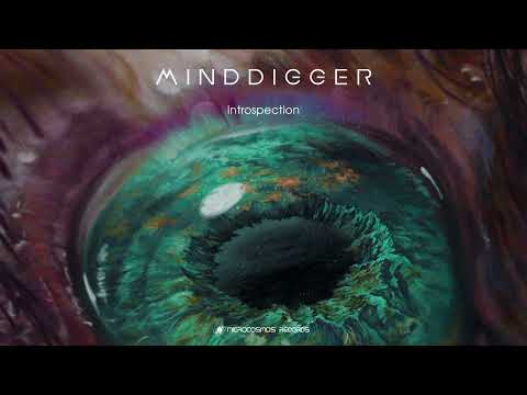 Minddigger — Introspection