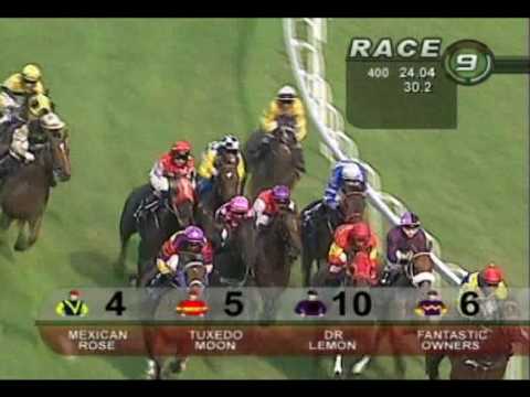 Kranji Sprint 2010 (Mexican Rose)