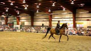 preview picture of video 'Everything Equine Event - Champlain Valley Expo, Vermont'