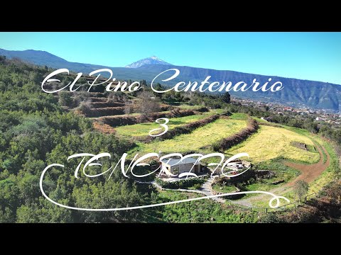 Pino Centenario 3 Sauna & Wifi. Off-Grid, Tiny house, Wilderness Cabin, Outdoor Shower, Tenerife.