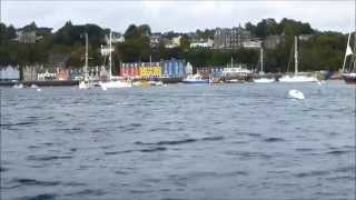 preview picture of video 'Bottlenose Dolphins visit Tobermory Bay'