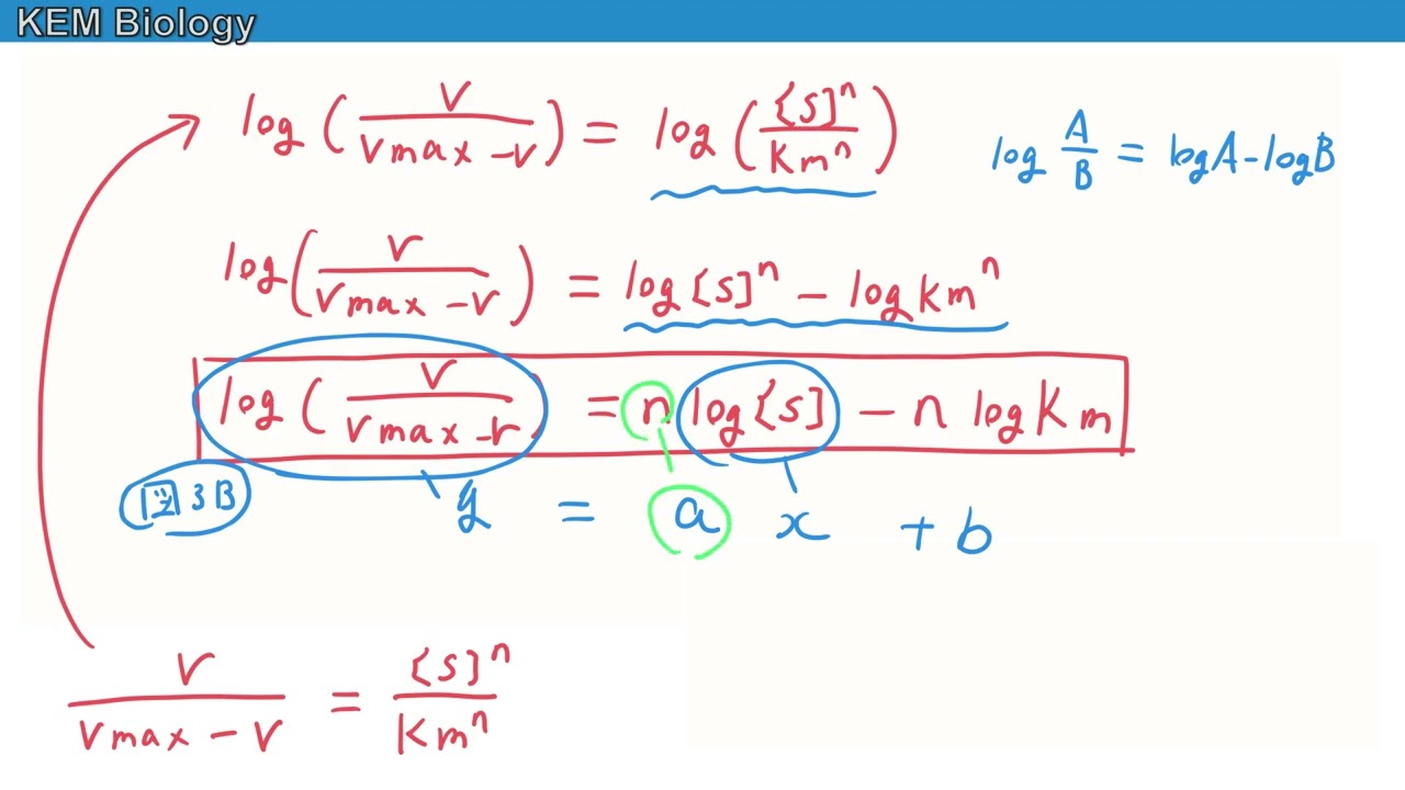 理系生物「大阪大学2023大問3【C問題】 ヒルプロット