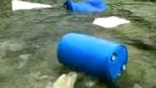 En Dag i Zoo !! - Isbjørnen