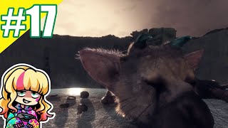 #17【ゲーム実況】あこの「人喰いの大鷲トリコ」