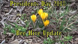 Beekeeping:  Bee Yard update, Presidents Day 2018
