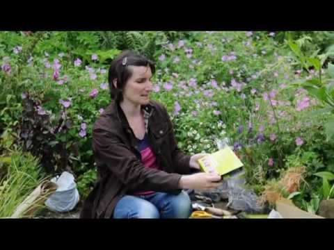 My English Garden: Episode 07