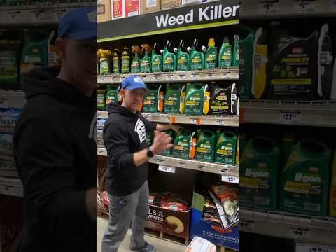 BEST Way To KILL WEEDS For Cheap