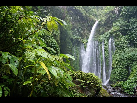 Dzsungel Könyve 2000 eleje - Palotai & Cadik @ Tilos Radio