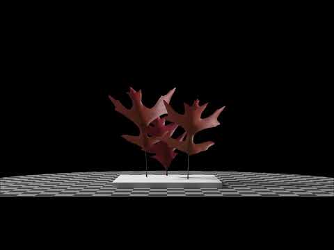 Swamp Spanish Oak, SideFX Houdini, Karma XPU, MaterialX