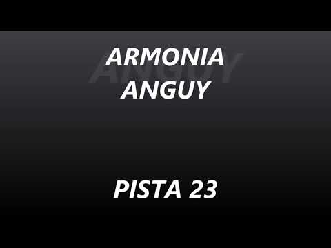 ARMONIA ANGUY - PISTA 23 - PERDONAME