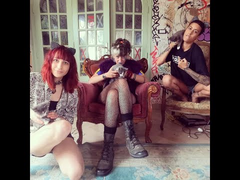 Argalouve - Complot d'chattes