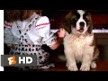 Beethoven 1992 Naming Beethoven Scene 2 10 Movieclips
