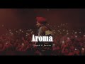 Aroma Slowed Reverb Sidhu Moose Wala